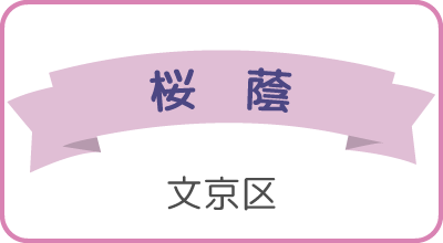 桜蔭（文京区）